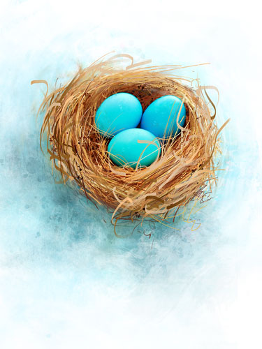Great Eggspectations